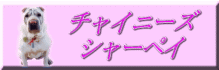 シャーリーりのbeautiful life